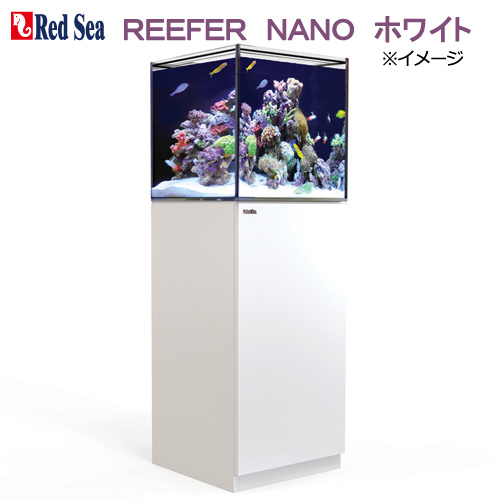 レッドシー　ＲＥＥＦＥＲ　ＮＡＮＯ　ホワイト　オーバーフロー水槽　３個口　４５ｃｍ水槽（１セット）　沖縄不可