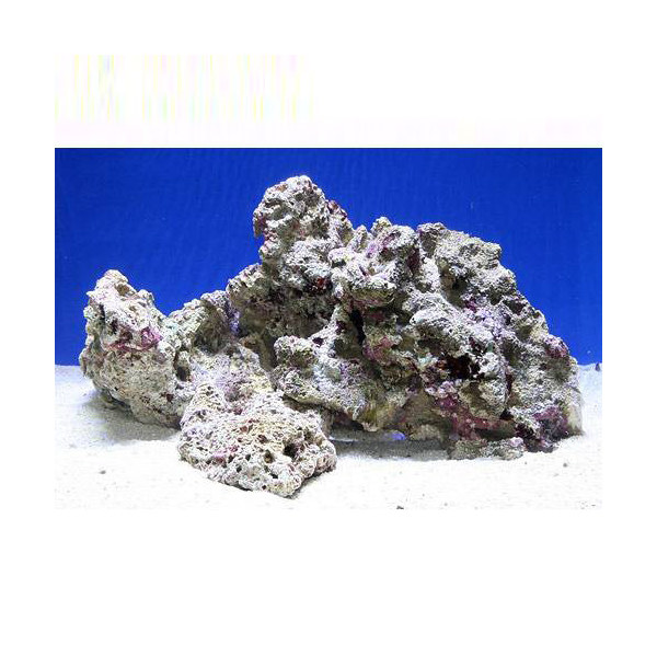 （海水魚）Ｂグレードライブロック　Ｍ－Ｌサイズミックス（５ｋｇ）（形状お任せ）