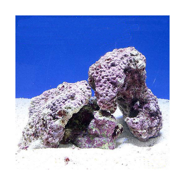 （海水魚）Ｓグレードライブロック　Ｓ－Ｍサイズミックス（２ｋｇ）（形状お任せ）