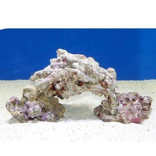 （海水魚）ライブロック　３０ｃｍ水槽用アーチセット（形状お任せ）