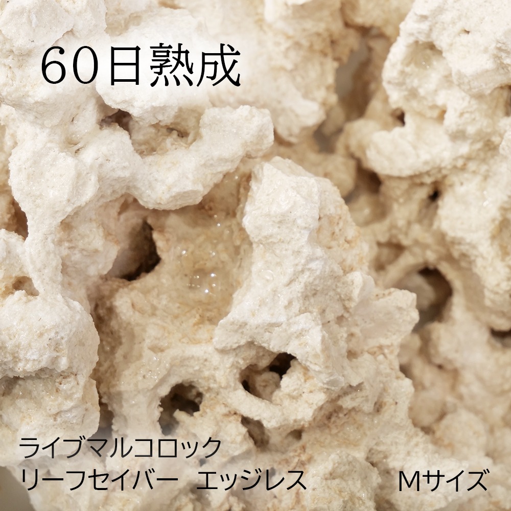 （海水魚）６０日熟成　ライブマルコロック　リーフセーバー　エッジレス（Ｅｄｇｅｌｅｓｓ）　Ｍサイズ（１個）