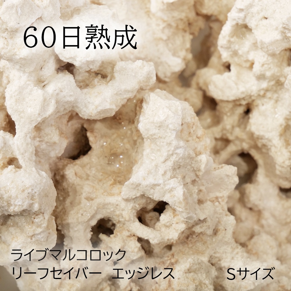 （海水魚）６０日熟成　ライブマルコロック　リーフセーバー　エッジレス（Ｅｄｇｅｌｅｓｓ）　Ｓサイズ（１個）