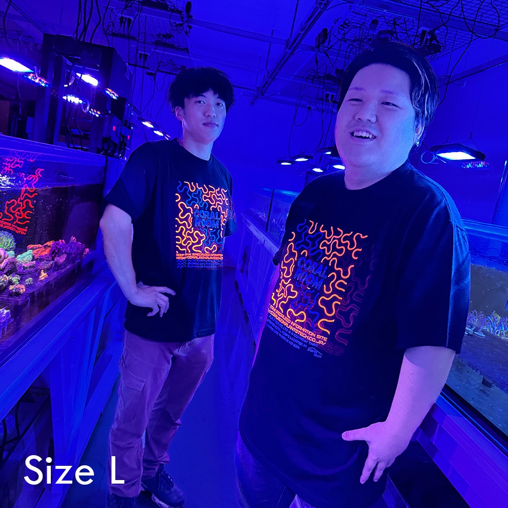 ＣＯＲＡＬ　ＲＯＯＭ　脳サンゴ蛍光　Ｔシャツ　Ｌ　沖縄不可