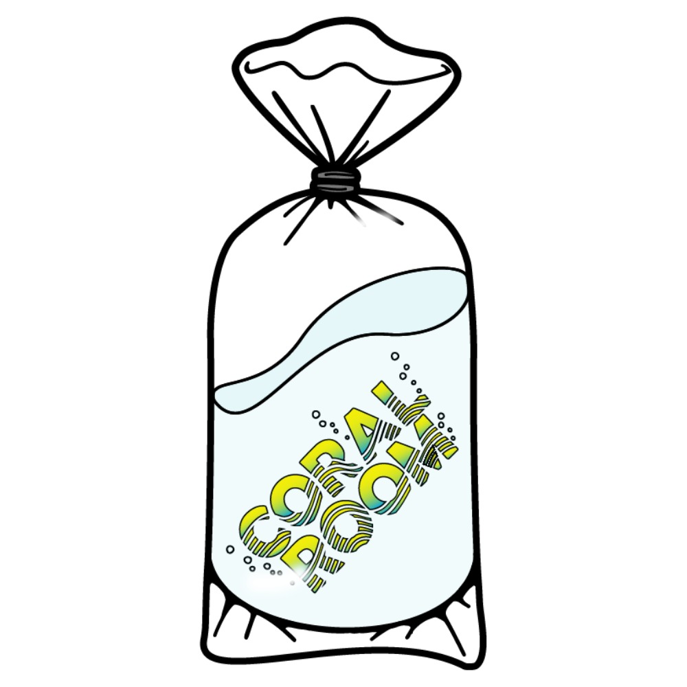 ＣＯＲＡＬ　ＲＯＯＭ　透けてる！パッキングフィッシュパックのロゴステッカー（３枚入り）　沖縄不可