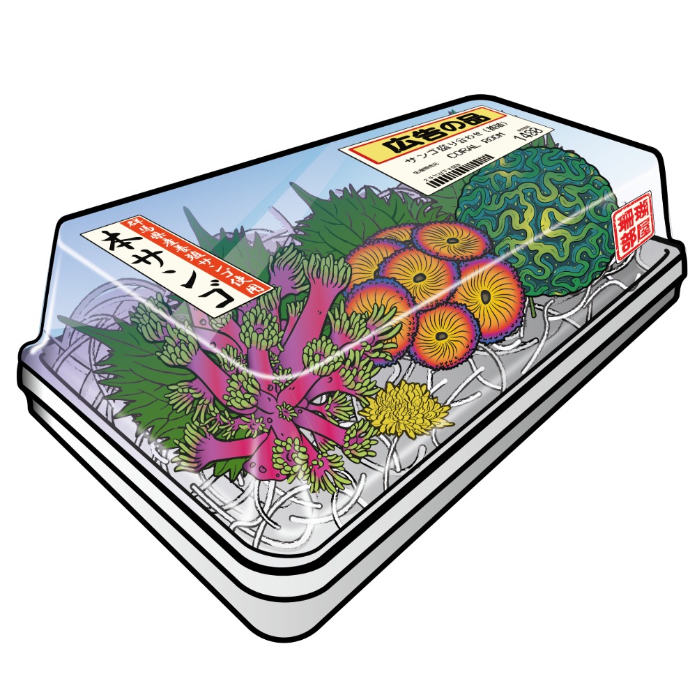 ＣＯＲＡＬ　ＲＯＯＭ　本サンゴ　サンゴの三種盛り合わせ（養殖）のロゴステッカー（１枚）　沖縄不可