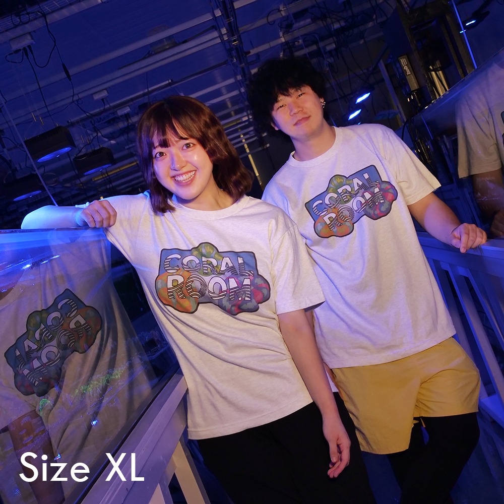 ＣＯＲＡＬ　ＲＯＯＭ　スコリミアロゴ　アッシュ　Ｔシャツ　ＸＬ　沖縄不可