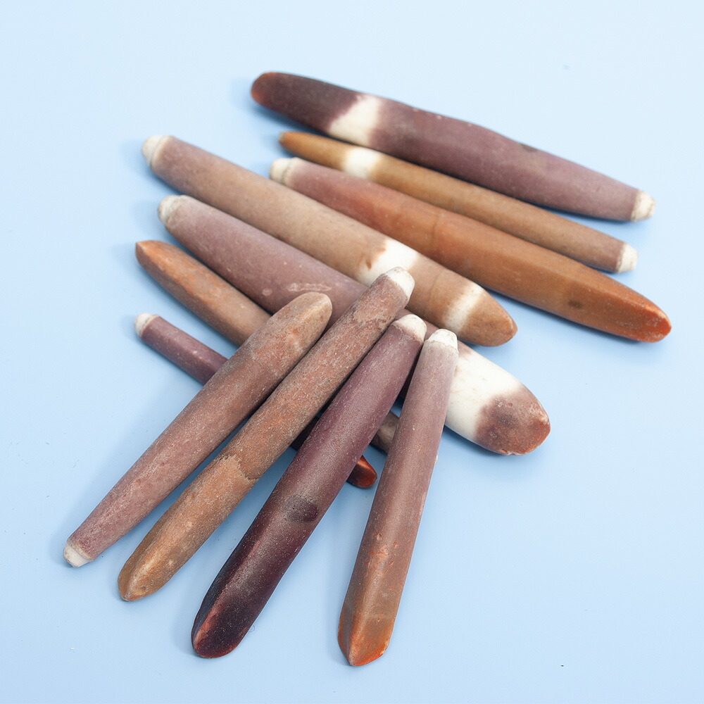 パイプウニスティック　貝殻　形状お任せ　３０ｇ　シェルコレクション